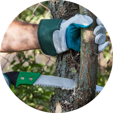 pruning circle