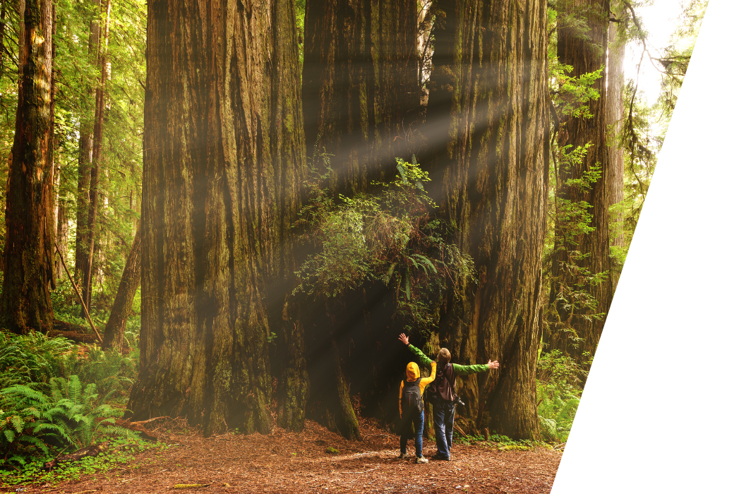 A couple of people standing next to each other in a forest.
