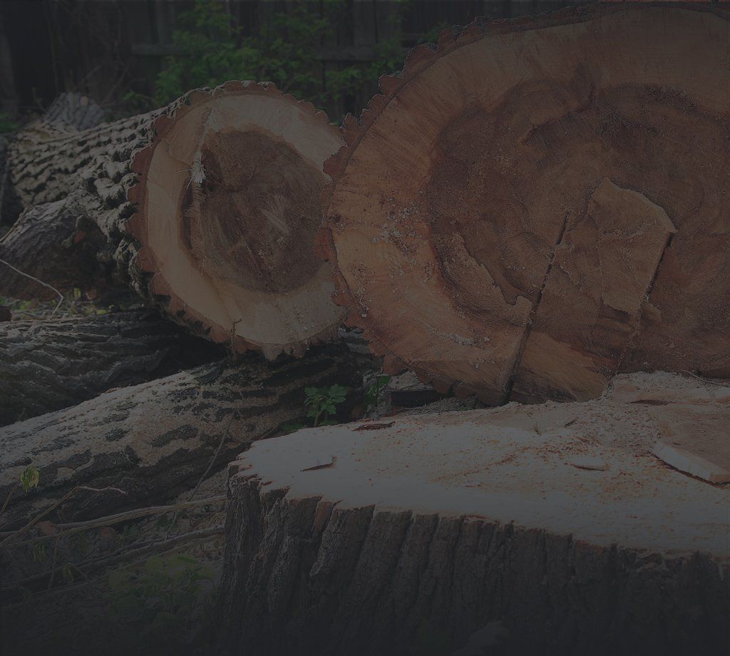 chopped logs