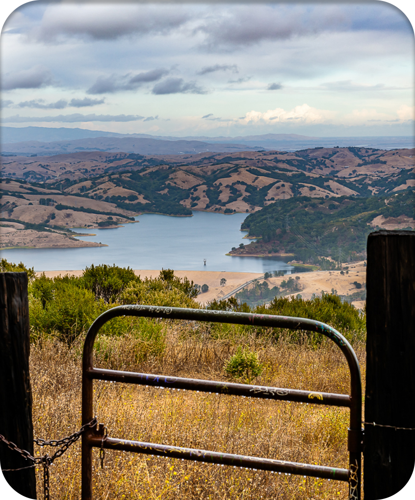 View of Tilden Park's gate and trees