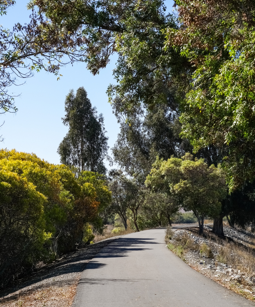 alameda creek trail in East San Francisco Bay Area, Fremont, California