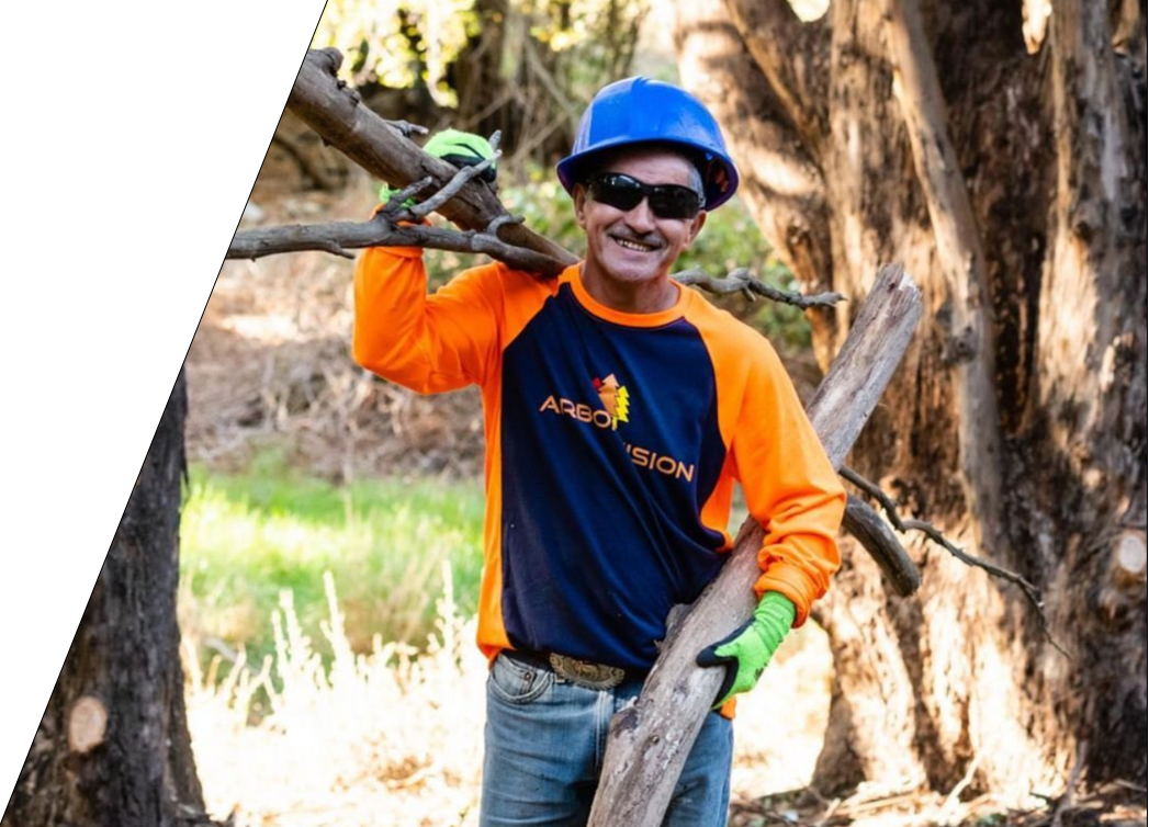 arbor vision member carrying tree branches