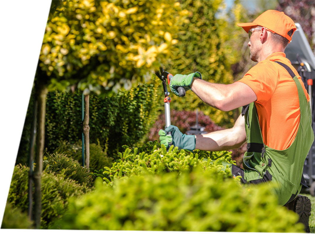 arborist wearing proper gloves, trimming trees