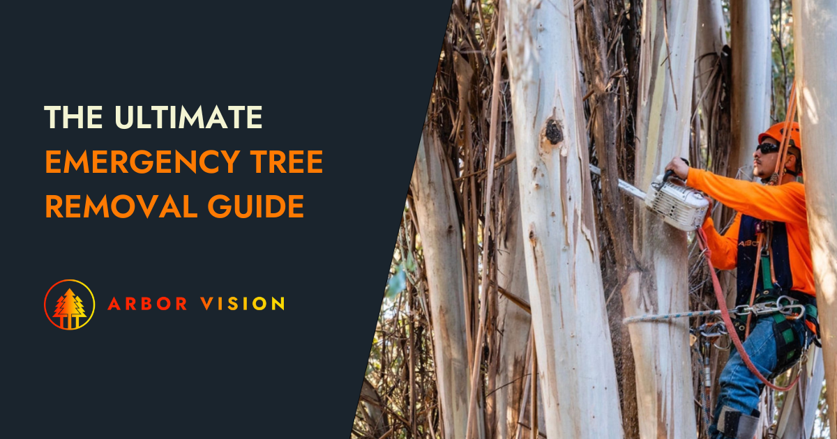 arbor vision member cutting down a tree