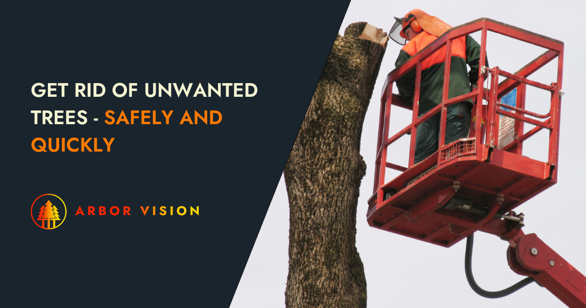 arborist on a platform removing big tree