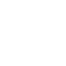 puzzle pieces icon
