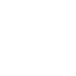 light bulb icon