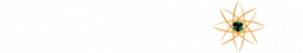 White Electron Logo