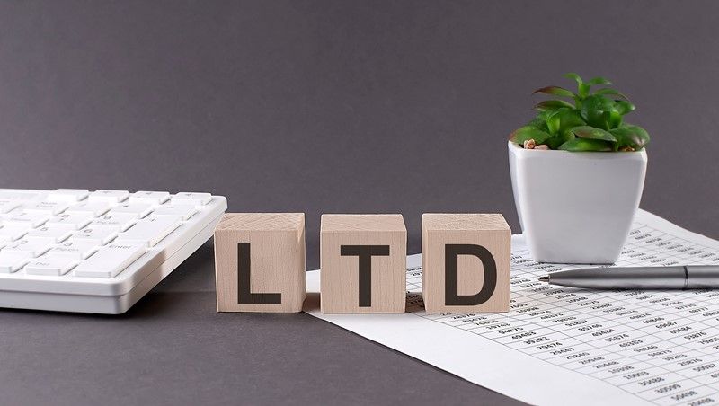 Wooden blocks spelling LTD sit on a desk with a keyboard, pen, plant, and ledger.