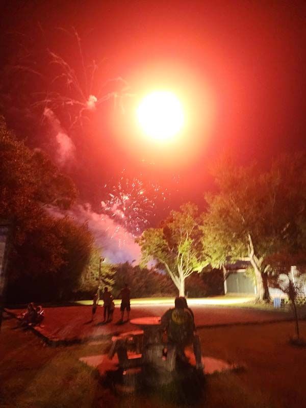 A group of people are watching fireworks in the night sky.