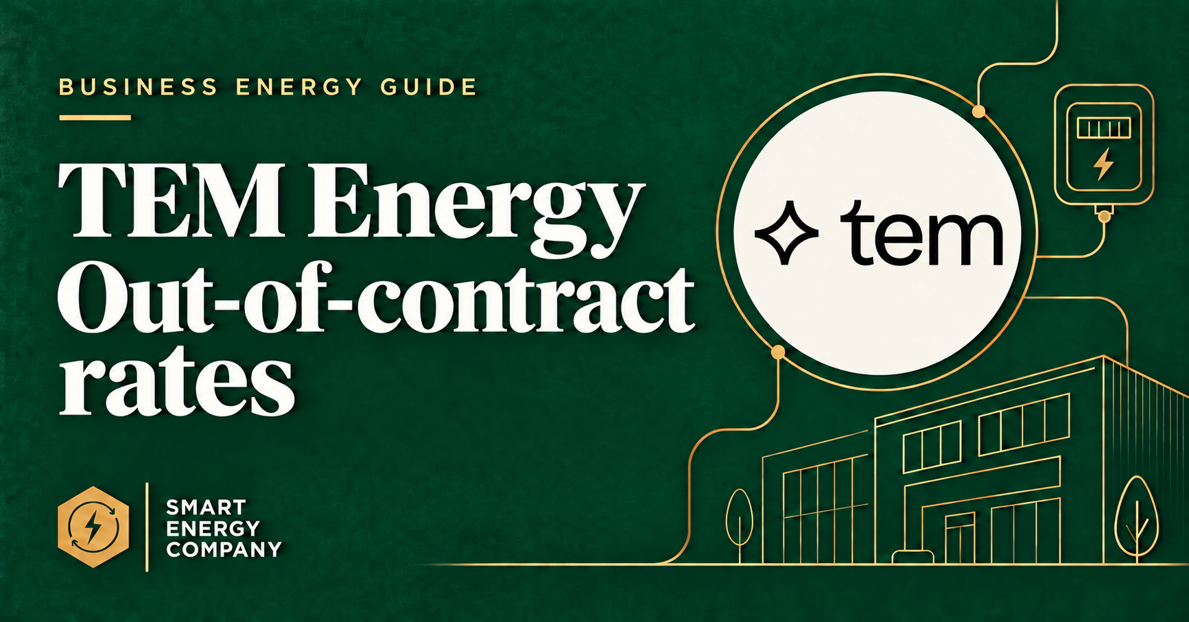 TEM Energy out-of-contract electricity rates guide, with the TEM logo and Smart Energy Company branding.