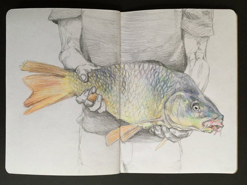 tekening M. de Koning