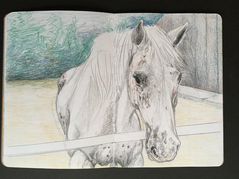 tekening M. de Koning