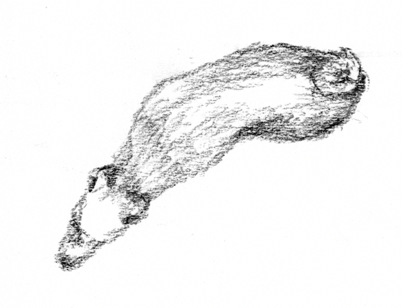 Tekening Twee vergeten meer dan een