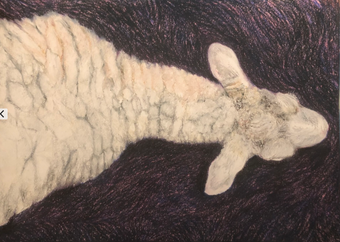 tekening M. de Koning