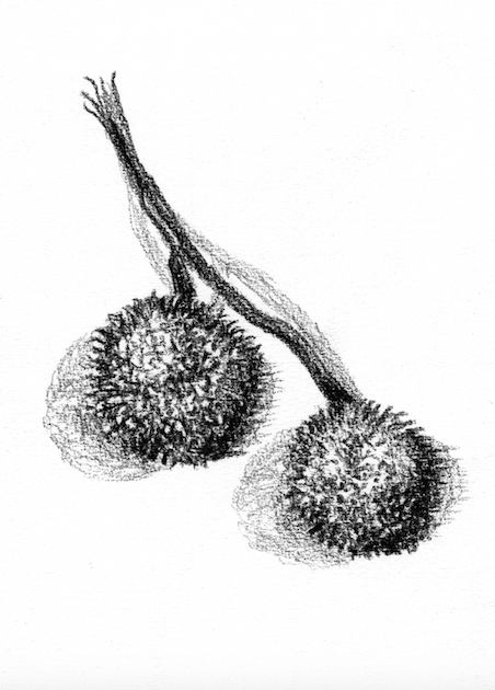 Tekening Twee vergeten meer dan een