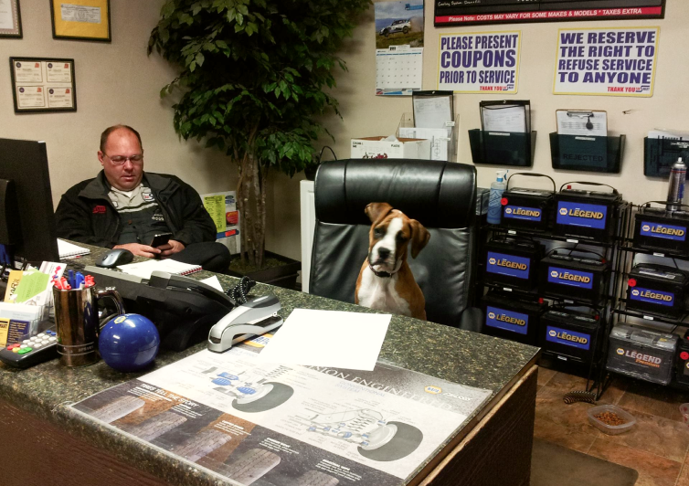 Front office | Brian's Carsmart