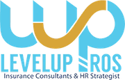 Levelup Pros LLC Levelup Pros LLC