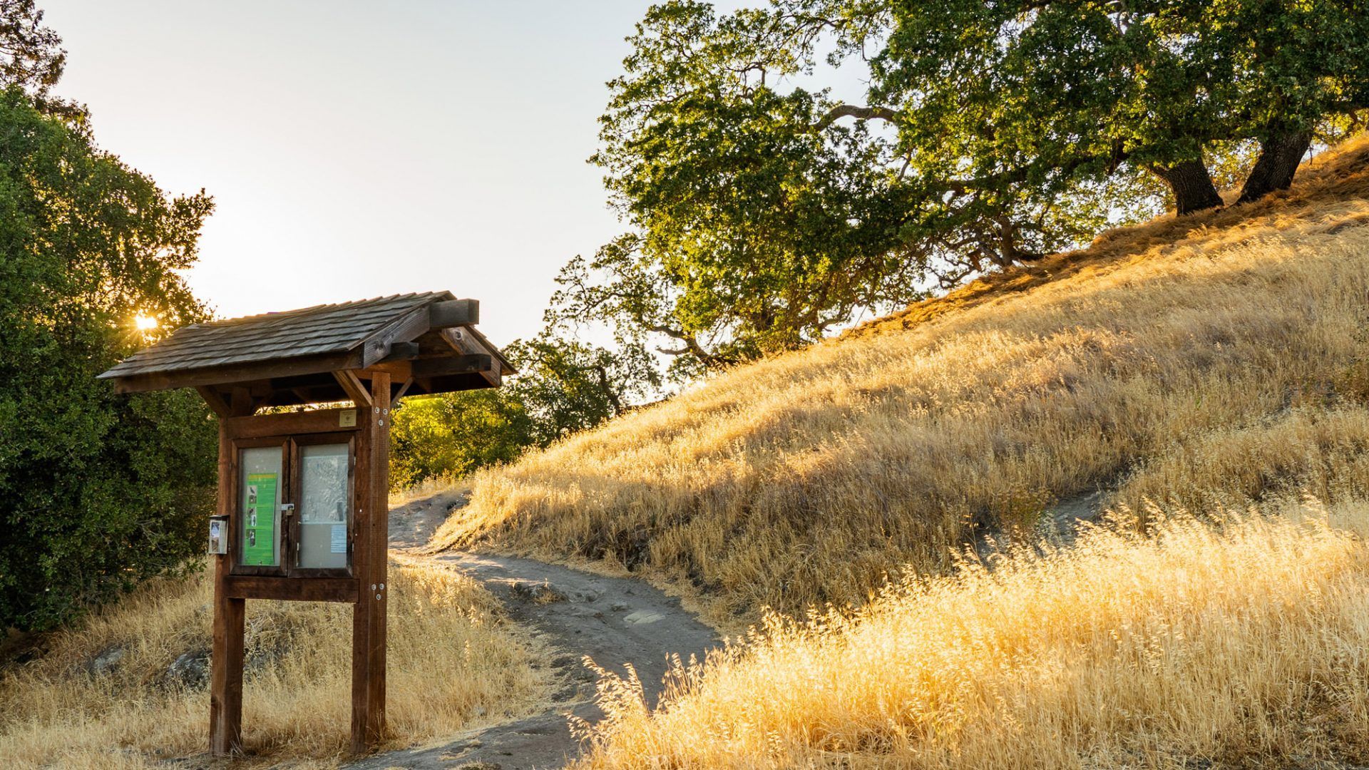 Trailhead sign on a grassy hillside bathed in sunlight at The Waymark in Walnut Creek, CA.
