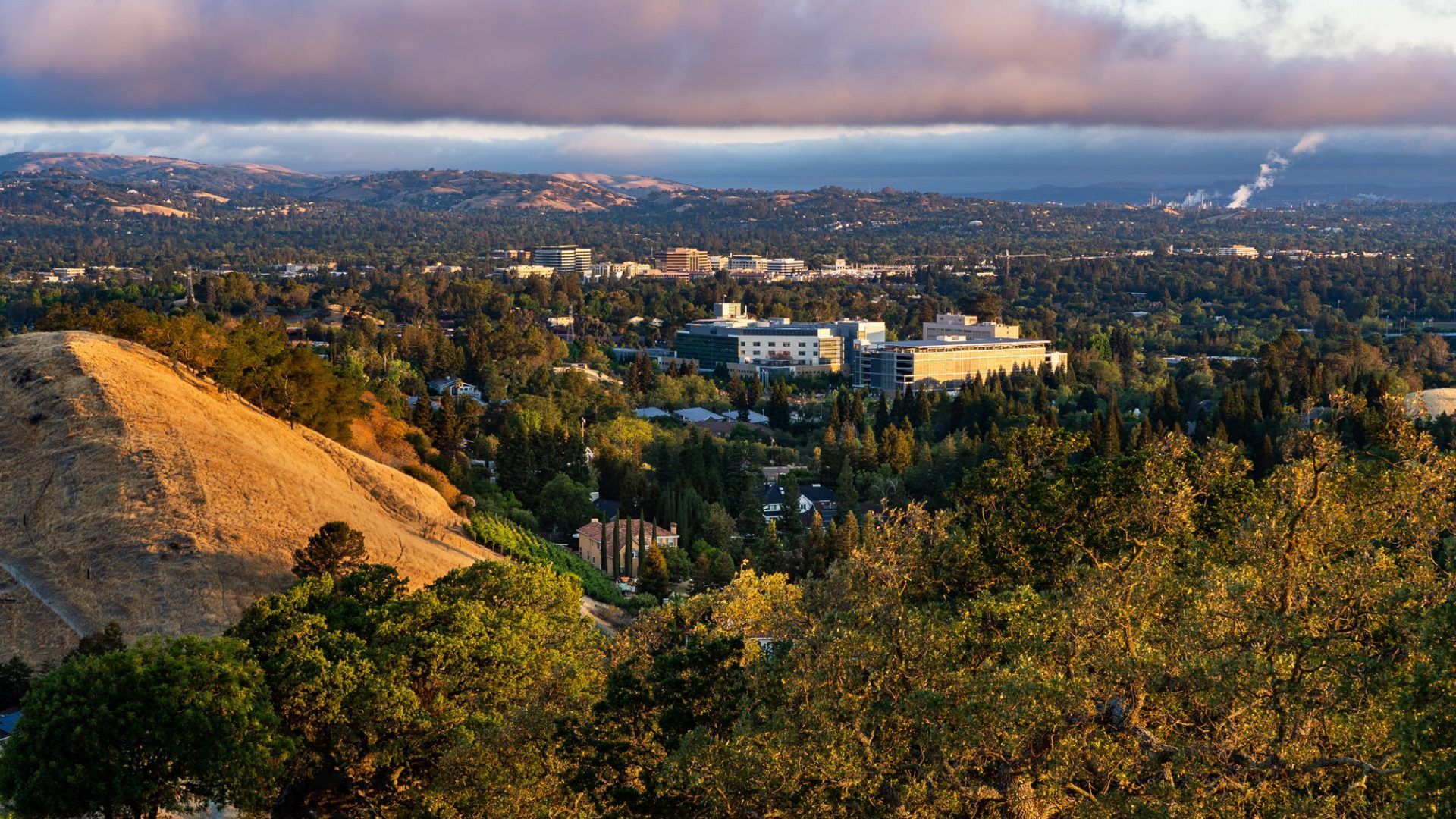 Rolling hills overlooking a city at sunset, with buildings nestled among trees at The Waymark in Walnut Creek, CA.
