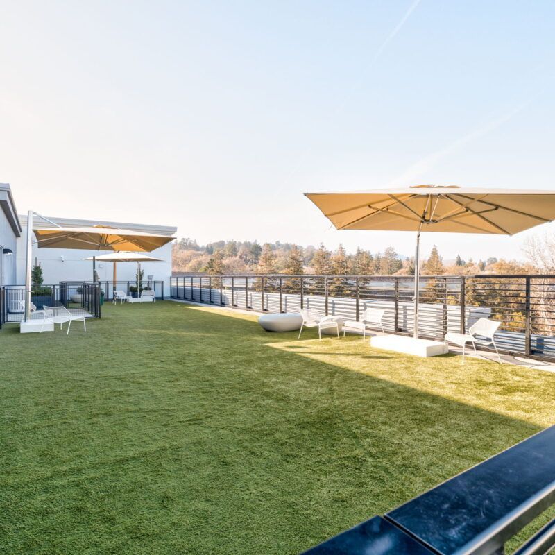 Rooftop with artificial turf, seating areas, umbrellas, and a view of trees. Sunny day at The Waymark in Walnut Creek, CA.