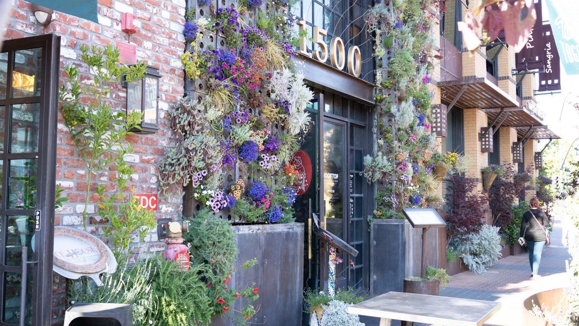 Restaurant entrance, brick building with floral wall, black door, sidewalk, sunny day at The Waymark in Walnut Creek, CA.
