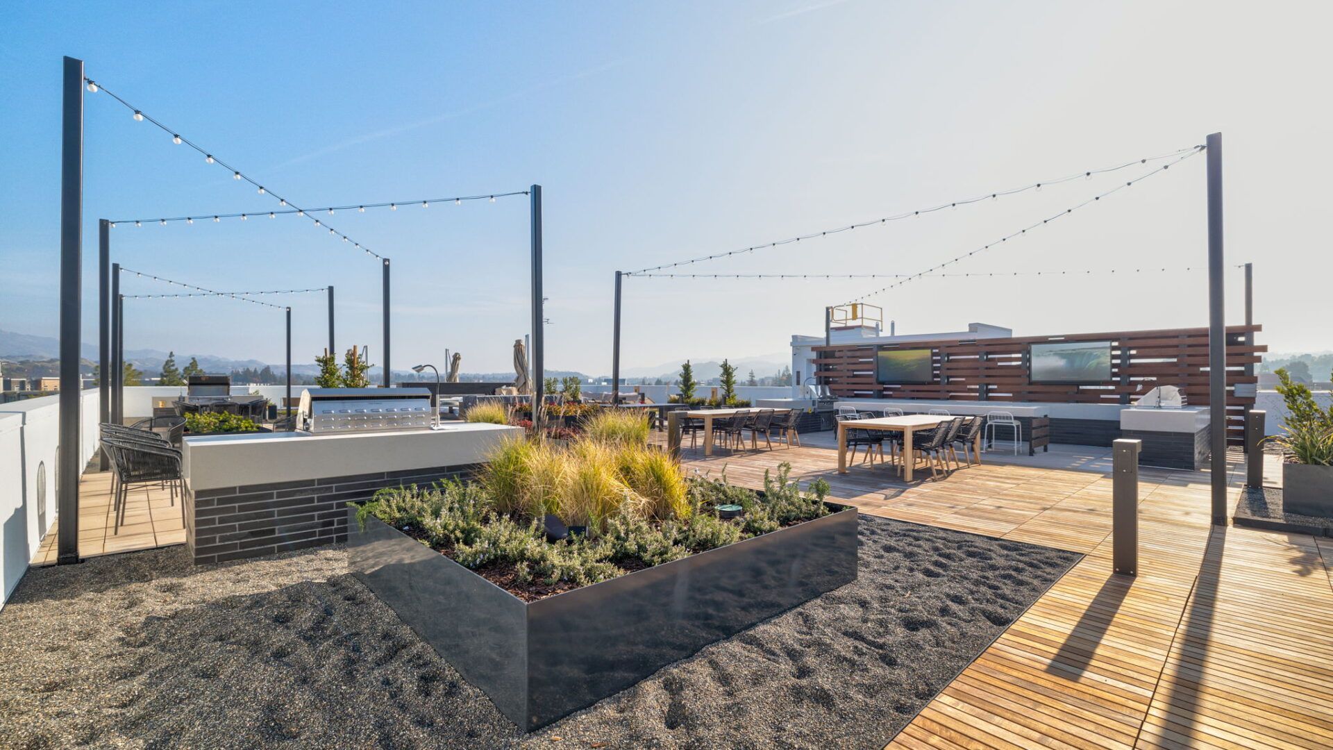 Rooftop patio with grills, dining tables, and string lights under a sunny sky at The Waymark in Walnut Creek, CA.