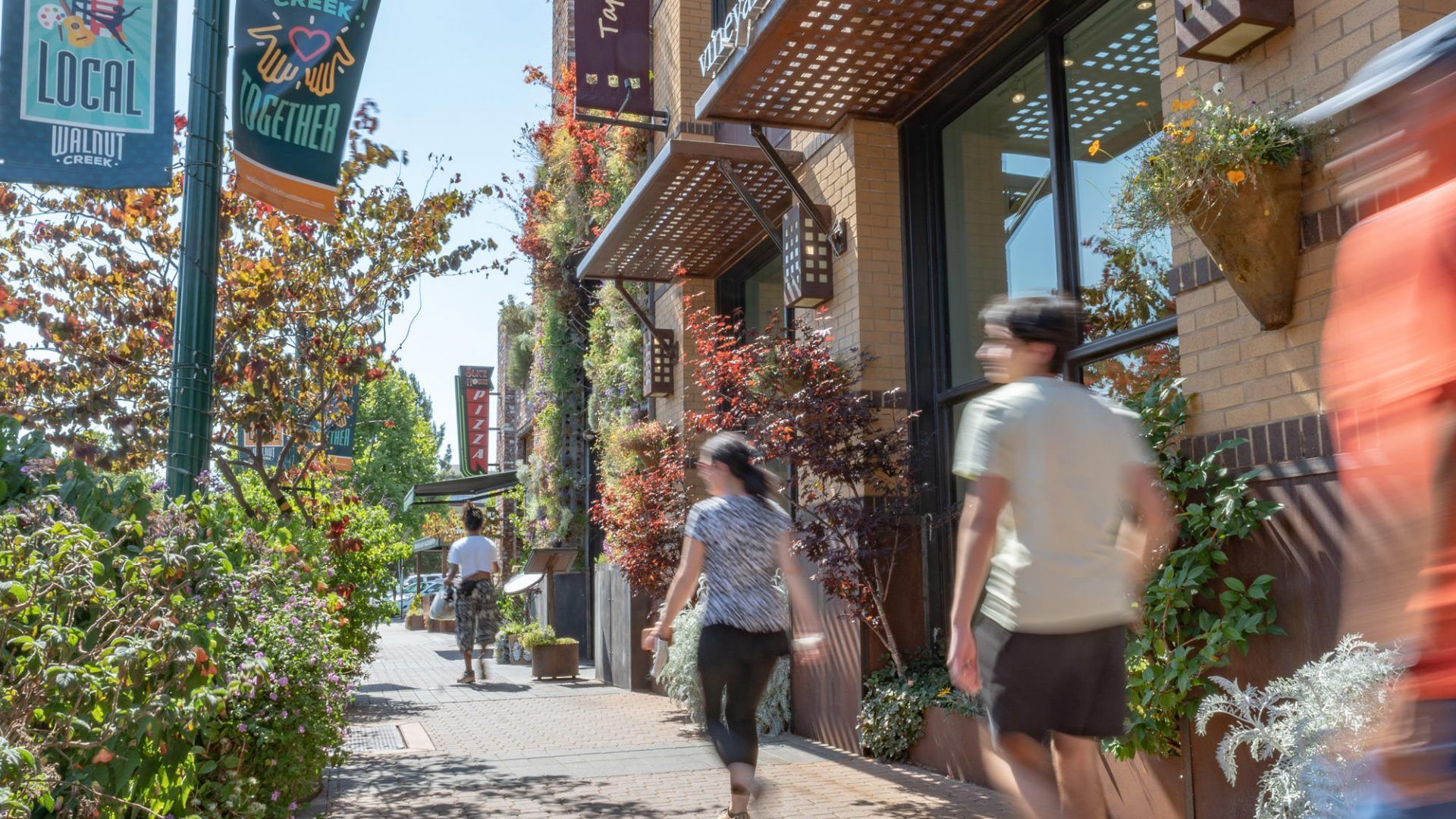 People walking on a sidewalk lined with foliage, a building with awnings and a vertical garden. Sunny day at The Waymark in Walnut Creek, CA.