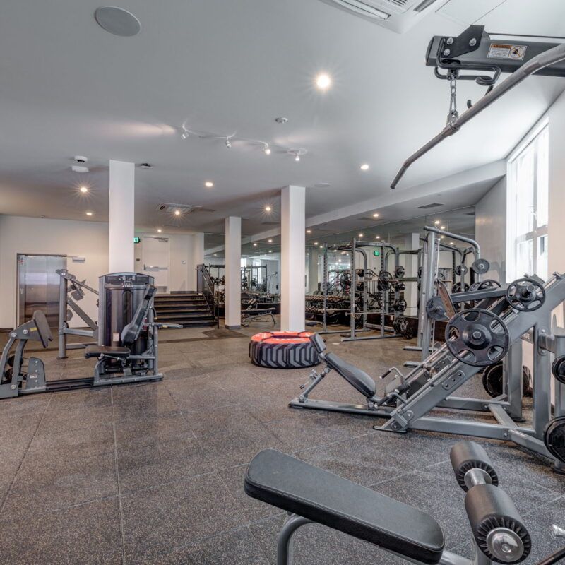 Gym interior with various weight machines, free weights, and a tire at The Waymark in Walnut Creek, CA.