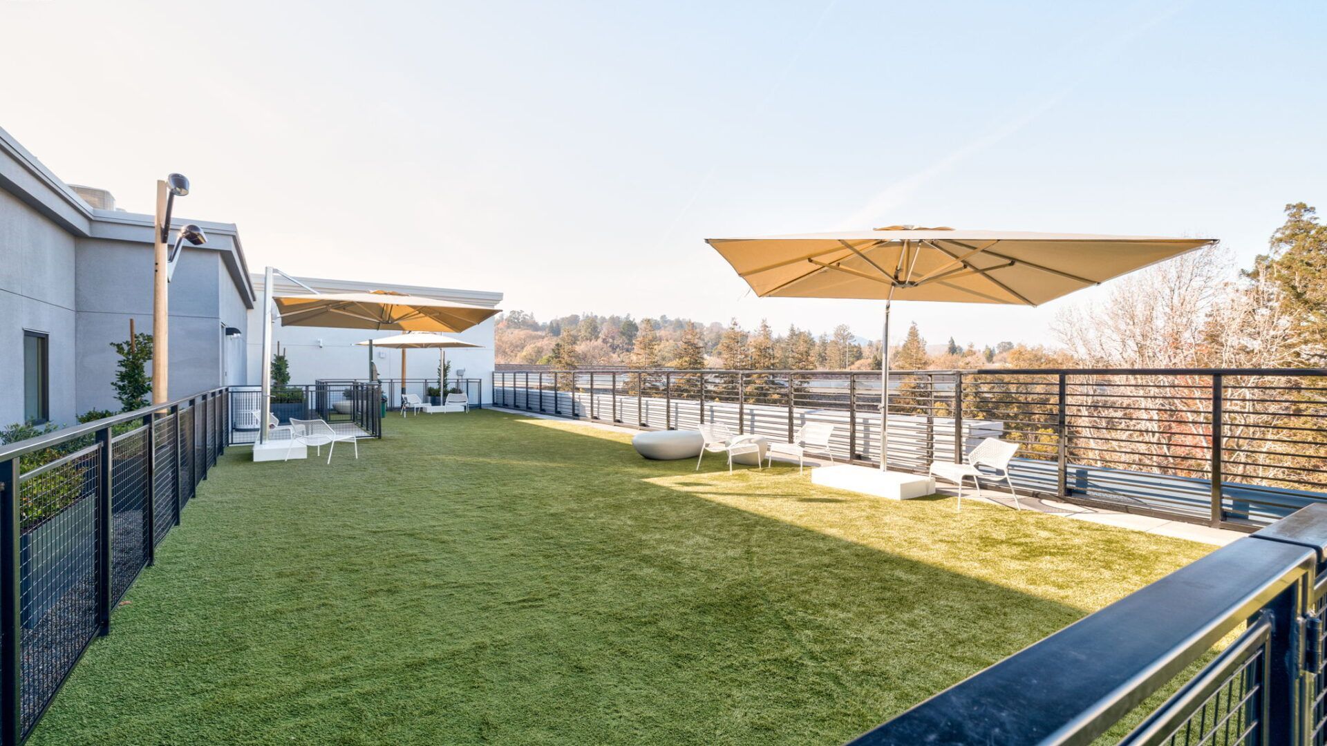 Rooftop patio with artificial grass, lounge chairs, and large umbrellas at The Waymark in Walnut Creek, CA.