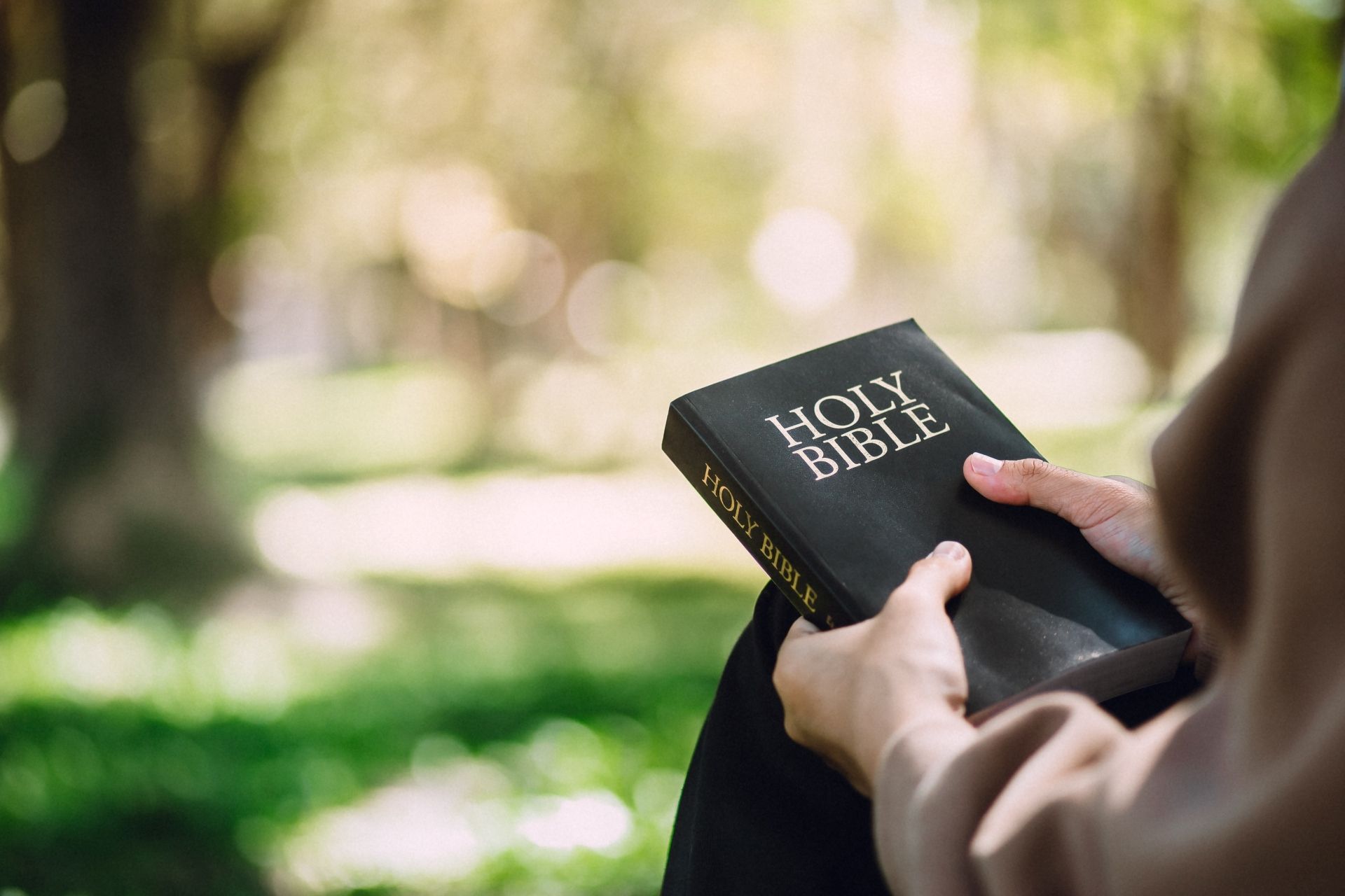 Hands holding a black Holy Bible in a blurred, sunlit park setting.