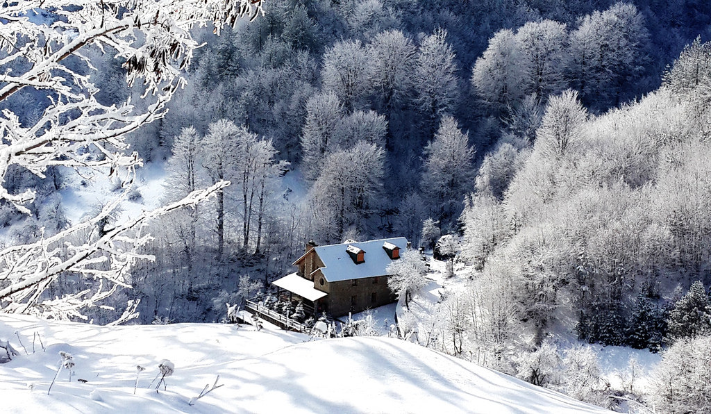 skiing in dardhe