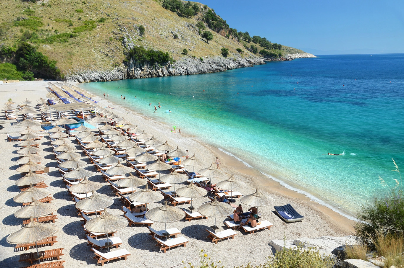 things to do in albania llama