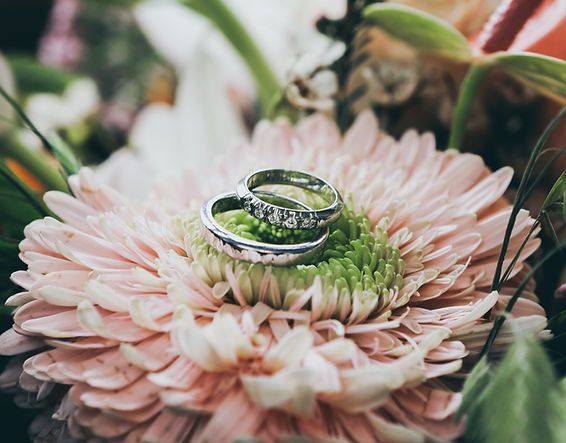 Wedding Offer