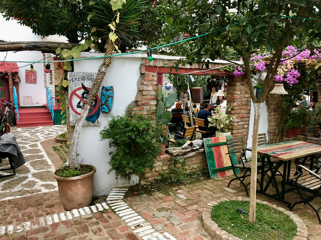 restaurants in tirana