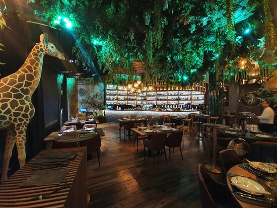 restaurants in tirana