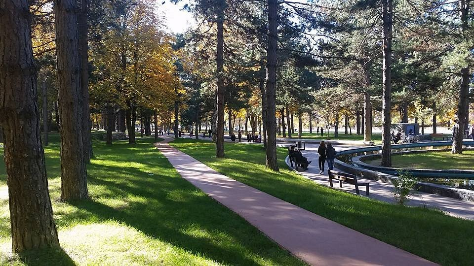 Walk around “Rinia” Park