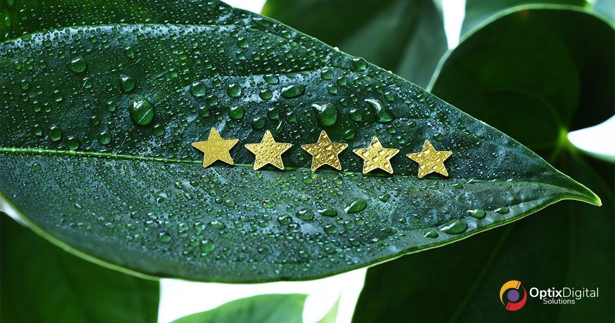 A green leaf with five gold stars on it