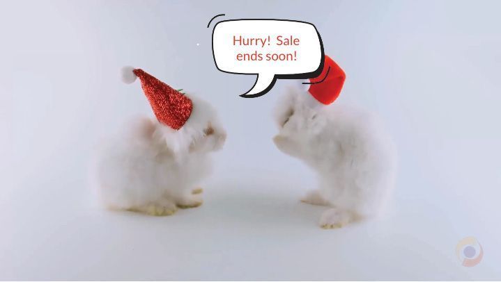 Two white fluffy rabbits wearing red party hats, one speech bubble says “Hurry! Sale ends soon!”
