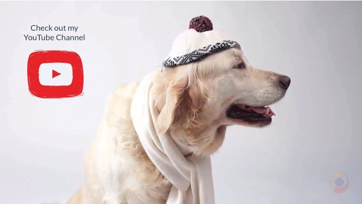 White dog wearing a scarf and knit hat beside YouTube logo with “Check out my YouTube Channel” text