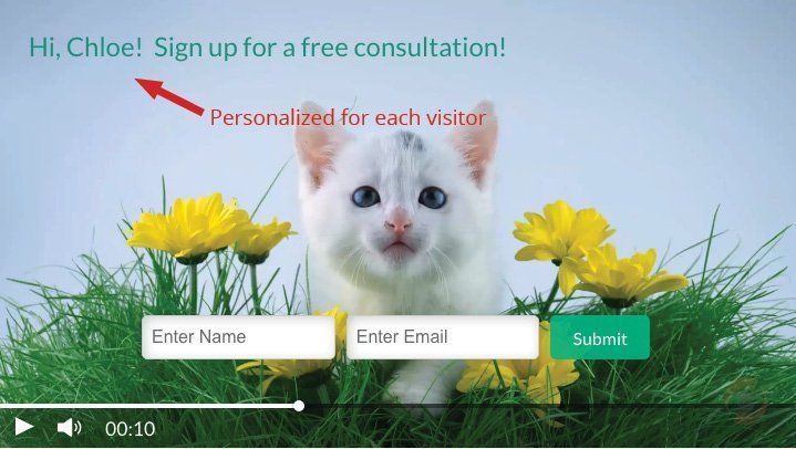 Personalized signup form with kitten, yellow flowers, and fields for name and email