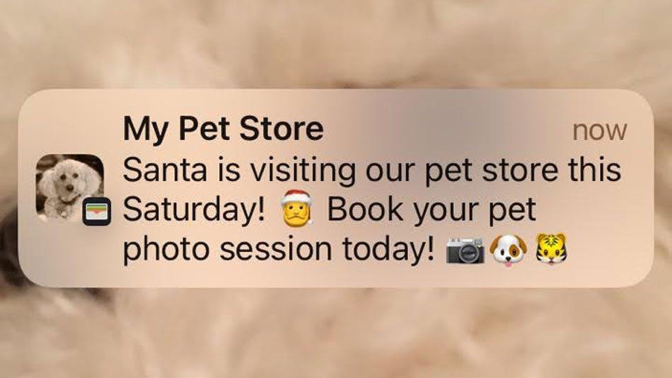 Pet store notification ad inviting Saturday pet photo session with Santa on a beige background