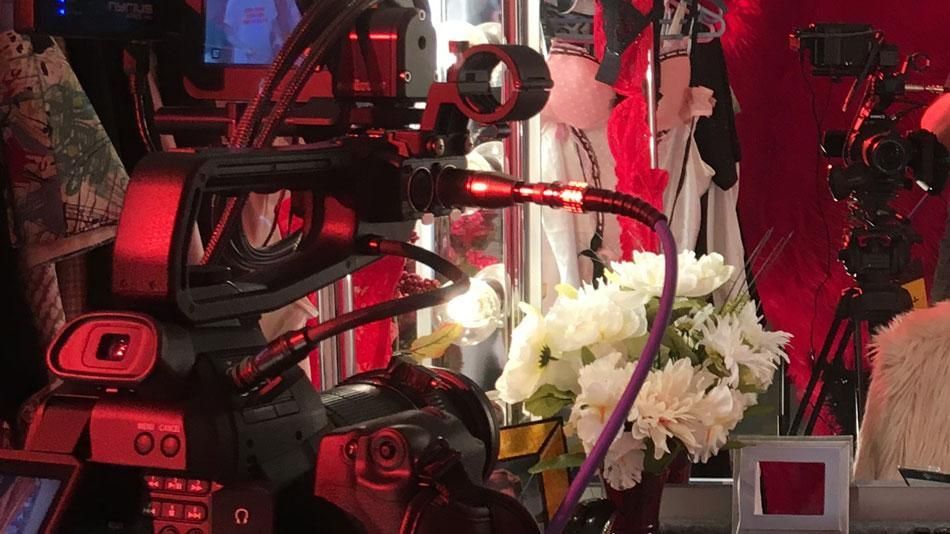 Robot arm reaching toward white flowers in a red-lit display