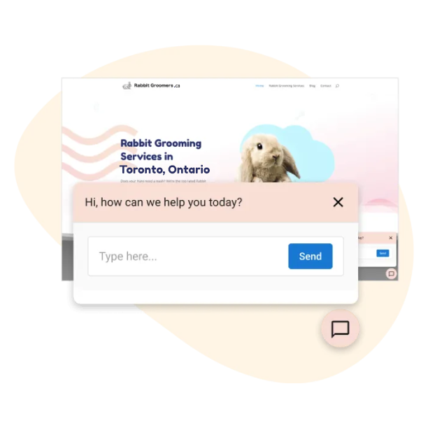 Rabbit grooming service website with a chat popup asking, “Hi, how can we help you today?”