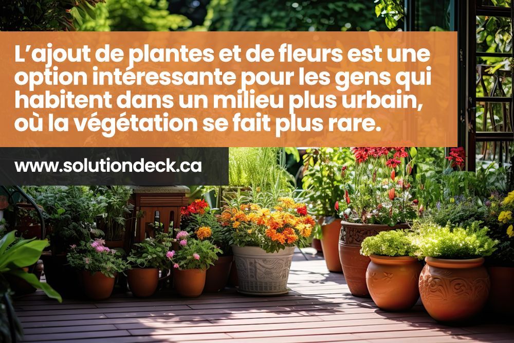 Un patio avec plein de plantes en pots
