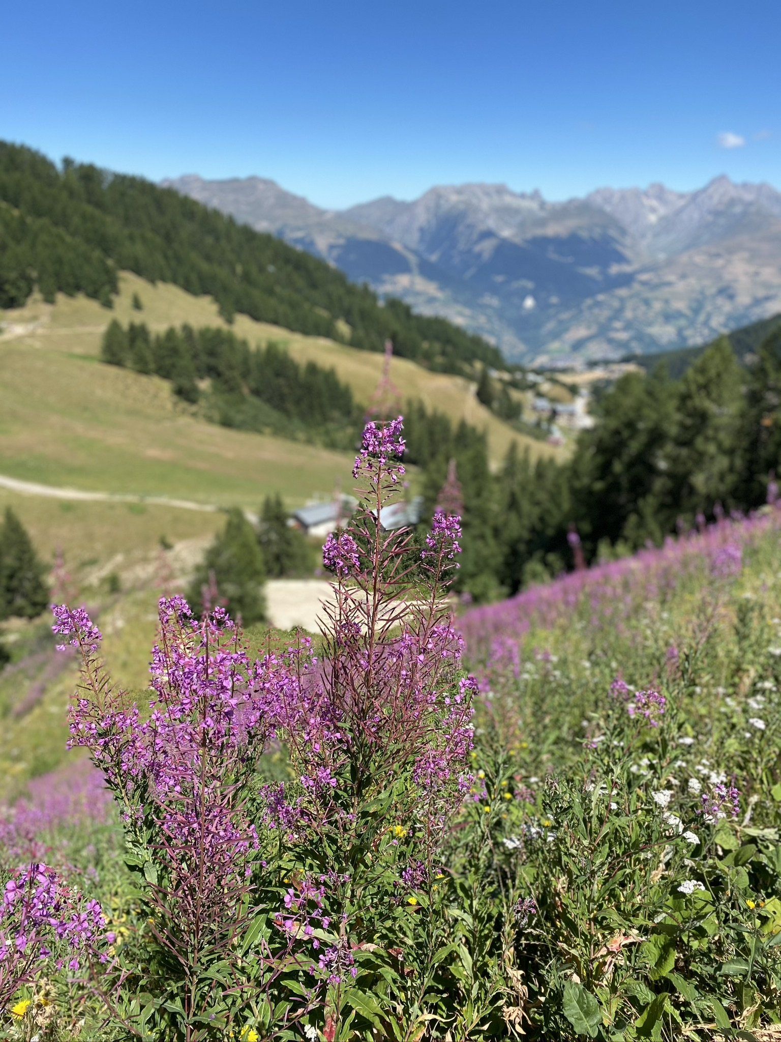 Mountain Views in La Plagne