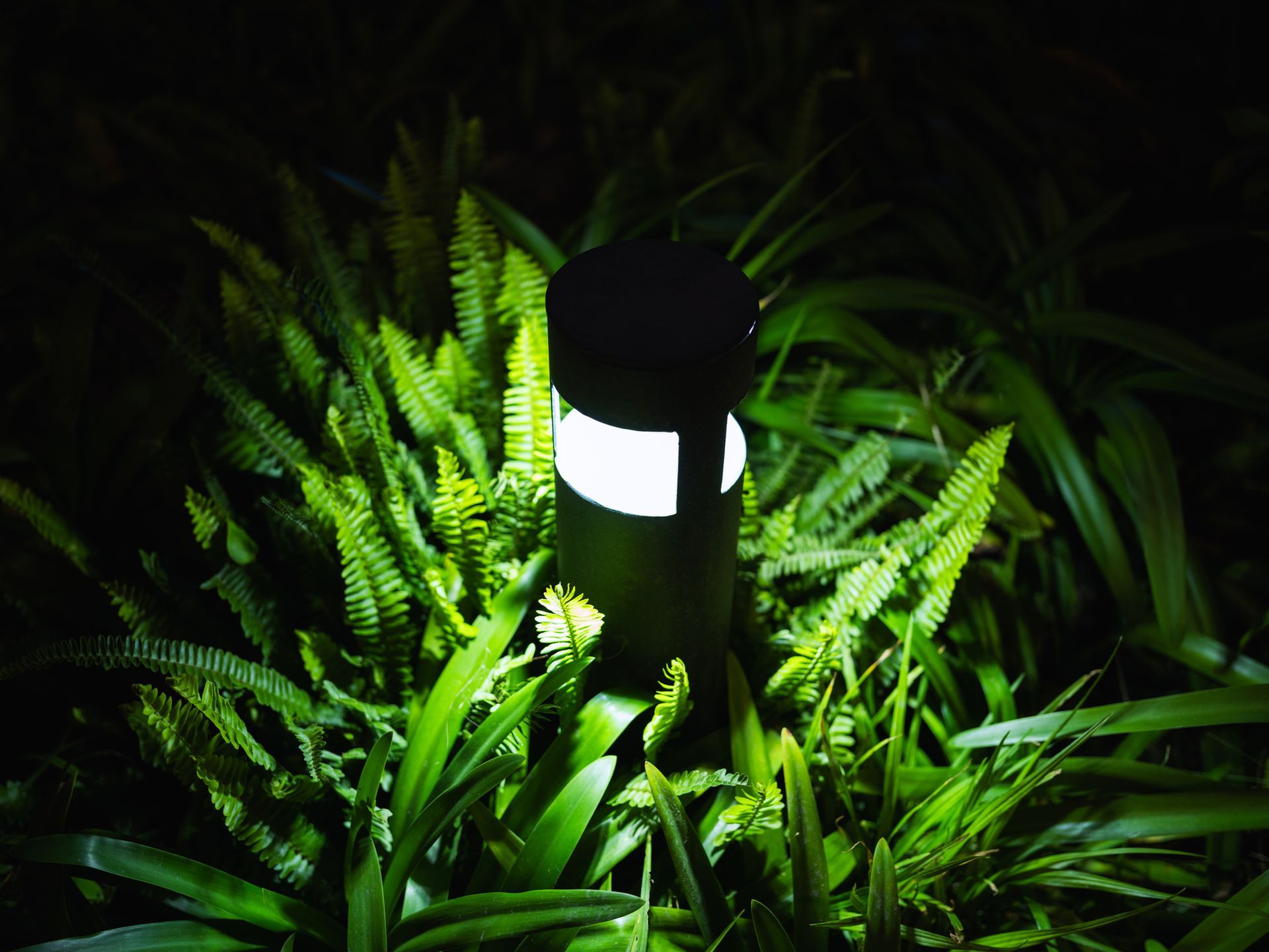 A Light Is Shining Through the Ferns in the Dark — HBP Electrical LLC — Muscle Shoals, AL