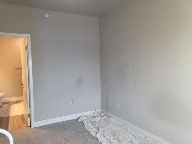 Empty gray room with open door to bathroom; white trim, carpet, and cloth on floor.