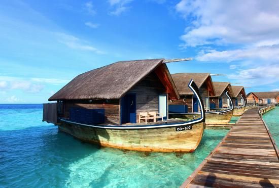Thatch Roofing