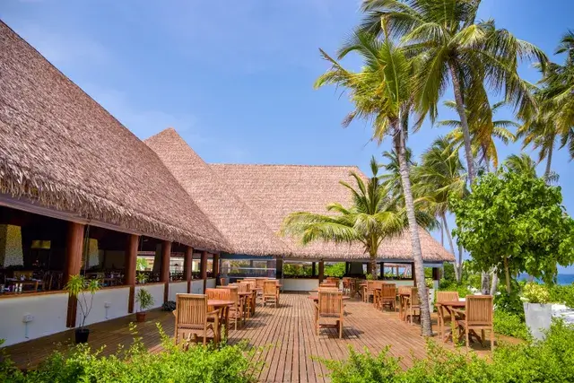 Thatch Roofs